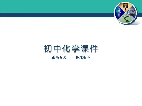 中考化学总复习—实验探究课件(14张).pptx
