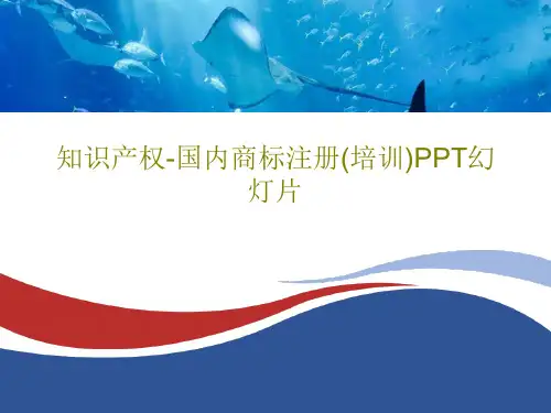 知识产权-国内商标注册(培训)PPT幻灯片共29页文档