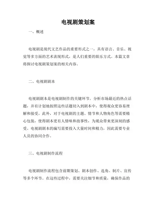 电视剧策划案