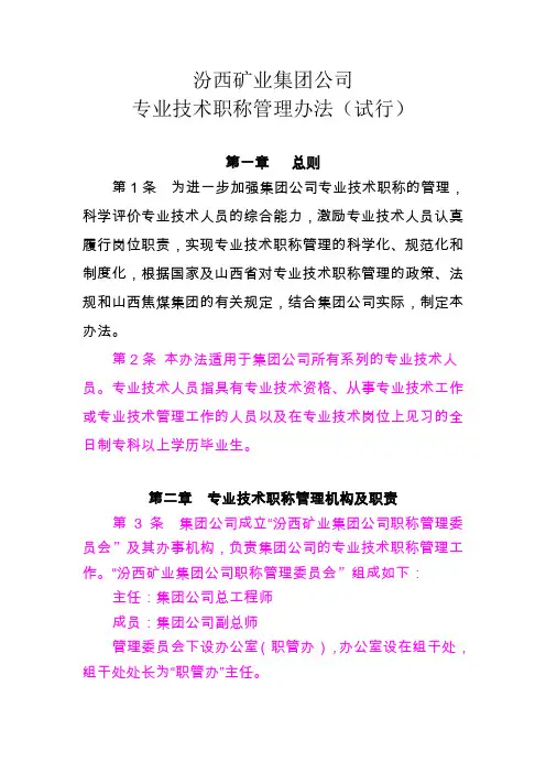 汾西矿业集团公司专业技术职称管理办法(试行)