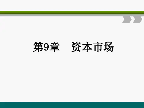 第九章  资本市场《金融学》PPT课件