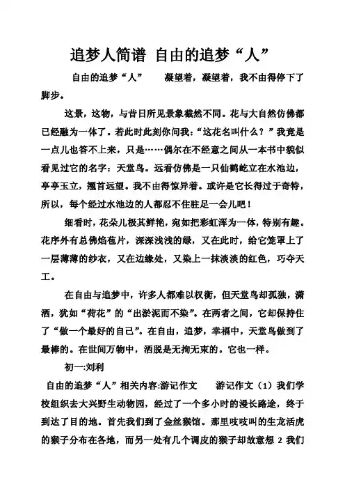 追梦人简谱自由的追梦“人”