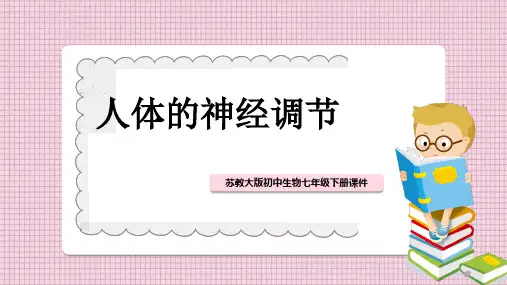 初中生物苏教版七年级下册《人体的神经调节》教学课件PPT模板