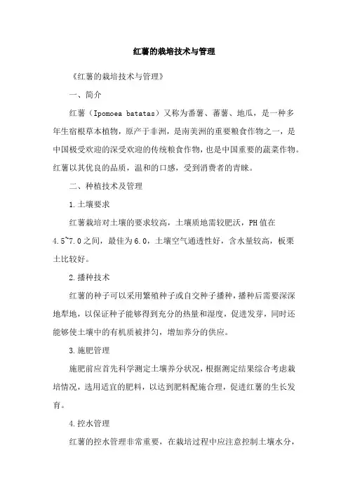 红薯的栽培技术与管理