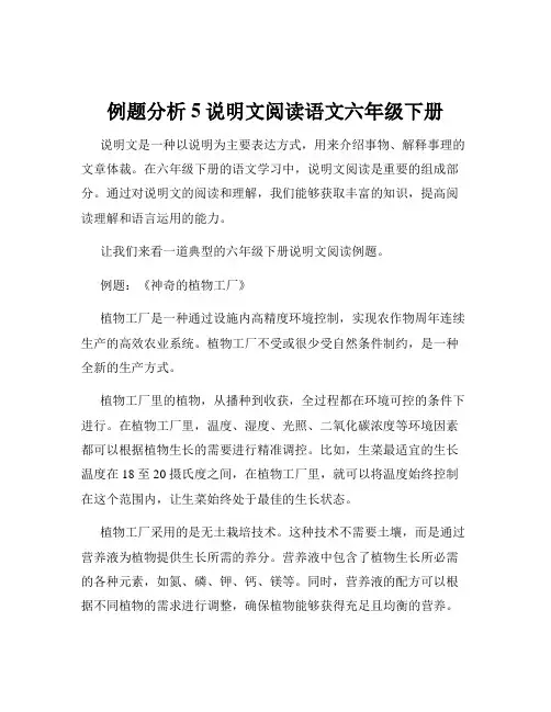 例题分析5说明文阅读语文六年级下册