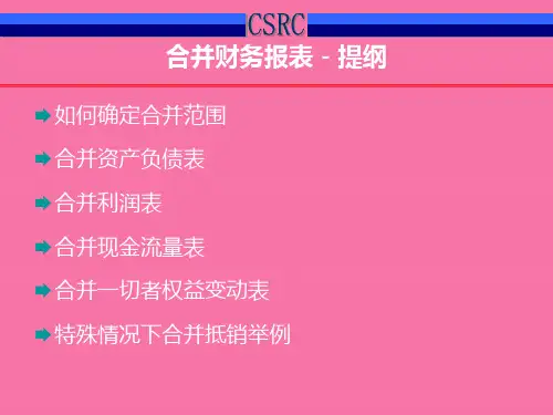 《合并报表》ppt课件