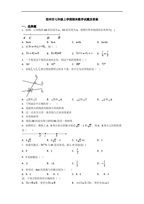宿州市七年级上学期期末数学试题及答案