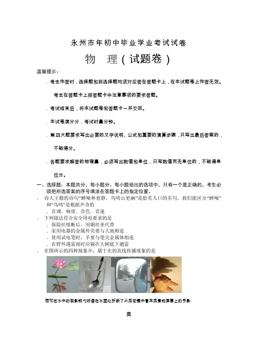 湖南省永州市中考物理试题含答案