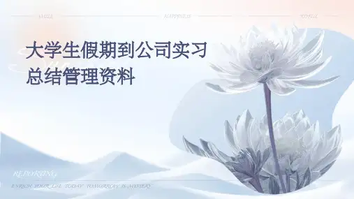 大学生假期到公司实习总结管理资料PPT