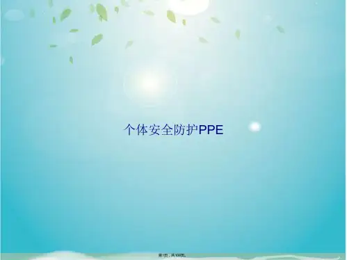 个体安全防护PPE(共106张PPT)