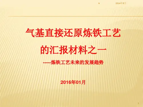 气基直接还原炼铁工艺的汇报材料之一