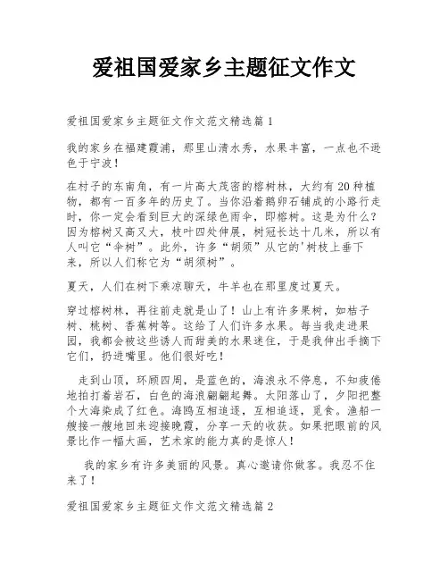 爱祖国爱家乡主题征文作文