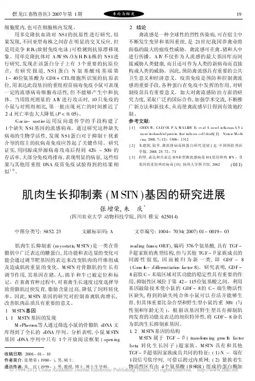 肌肉生长抑制素_MSTN_基因的研究进展_张增荣