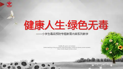 《健康人生·绿色无毒》小学毒品预防教育课件
