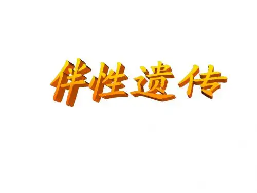 一轮复习伴性遗传