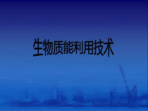 生物质能利用技术