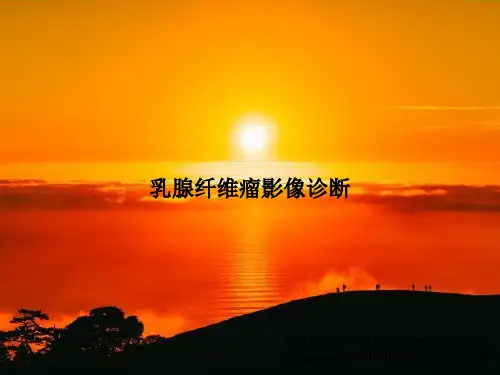 乳腺纤维瘤影像诊断