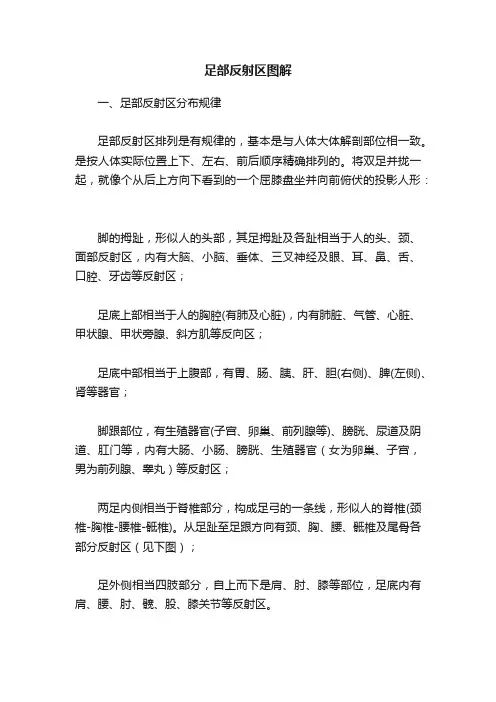 足部反射区图解