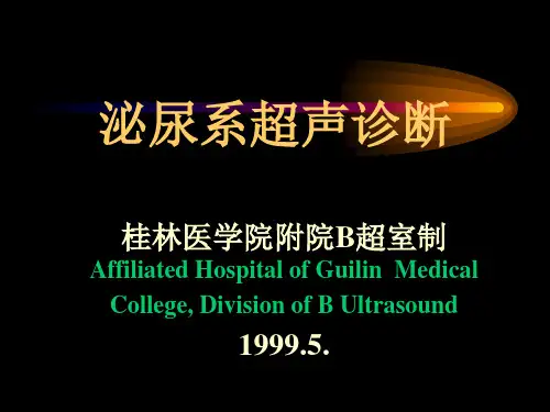 泌尿系超声诊断.pptx