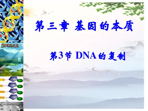 高中生物必修二第3章第3节 《DNA的复制》课件(共30张PPT)[优秀课件][优秀课件]