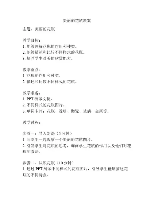 美丽的花瓶教案