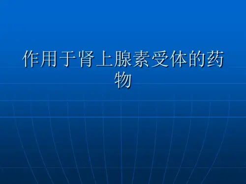 作用于肾上腺素受体的药物
