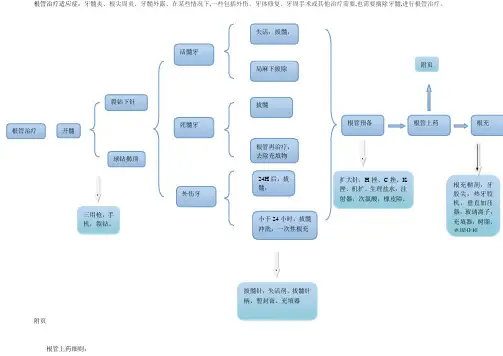 根管治疗操作标准化流程