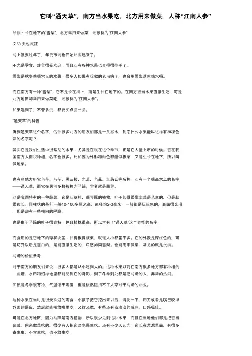 它叫“通天草”，南方当水果吃，北方用来做菜，人称“江南人参”