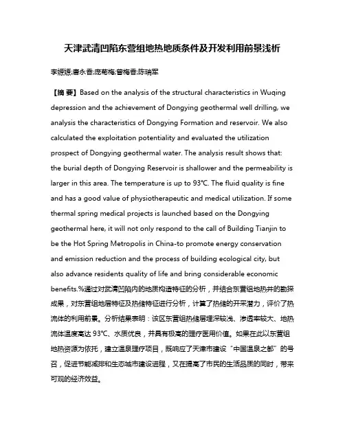 天津武清凹陷东营组地热地质条件及开发利用前景浅析
