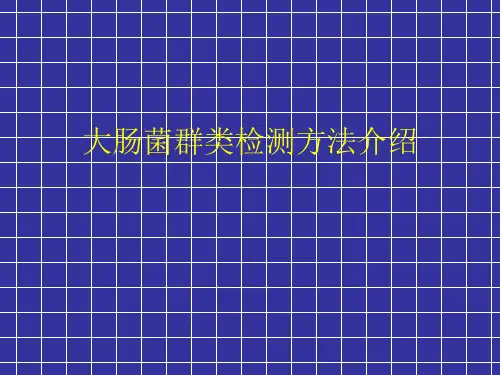 大肠杆菌PPT