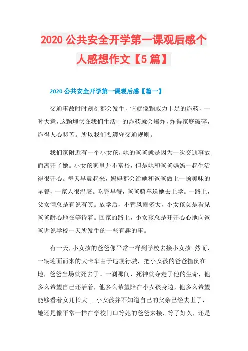 2020公共安全开学第一课观后感个人感想作文【5篇】