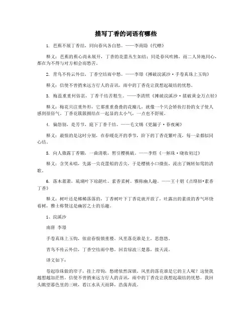 描写丁香的词语有哪些
