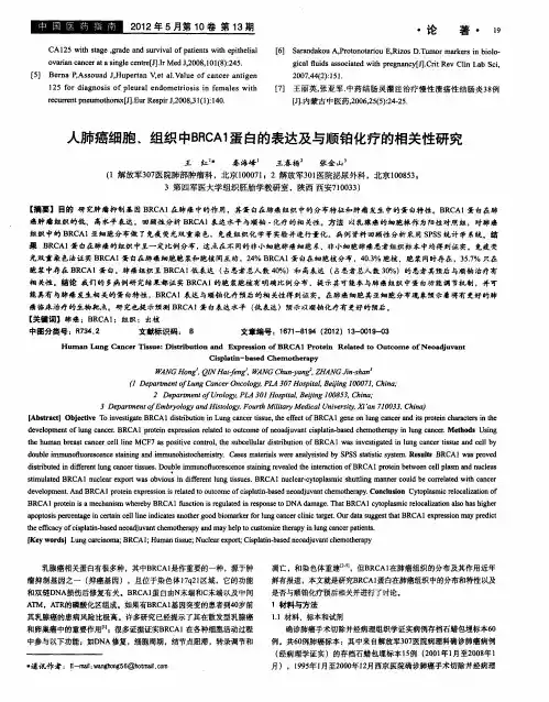 人肺癌细胞、组织中BRCA1蛋白的表达及与顺铂化疗的相关性研究