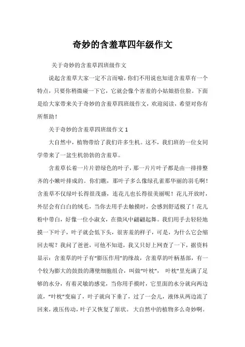 奇妙的含羞草四年级作文