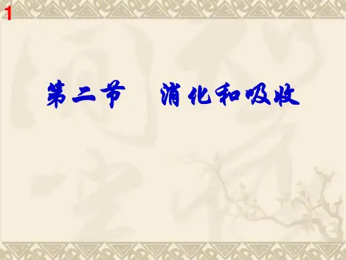 七年级生物下册第二章第二节消化和吸收
