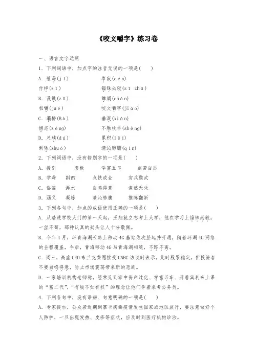 高中语文《咬文嚼字》练习卷