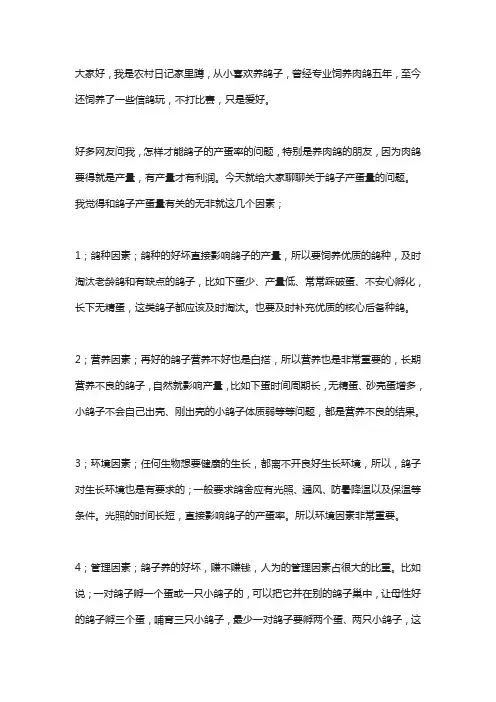 怎样提高鸽子的产蛋量