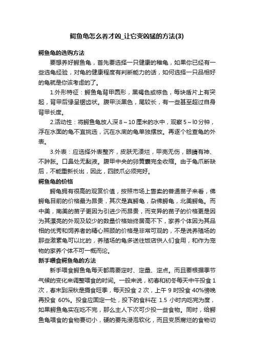 鳄鱼龟怎么养才凶_让它变凶猛的方法（3）