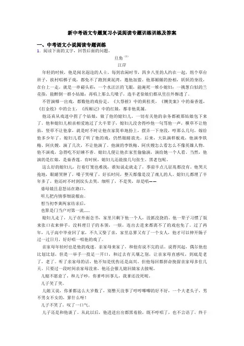 新中考语文专题复习小说阅读专题训练训练及答案