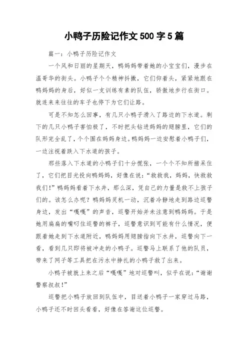 小鸭子历险记作文500字5篇_作文