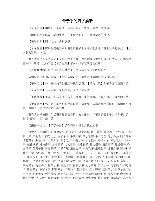 带子字的四字成语