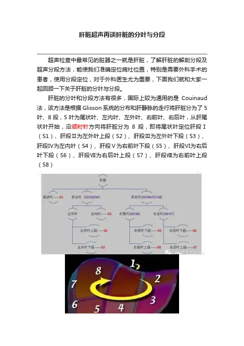 肝脏超声再谈肝脏的分叶与分段