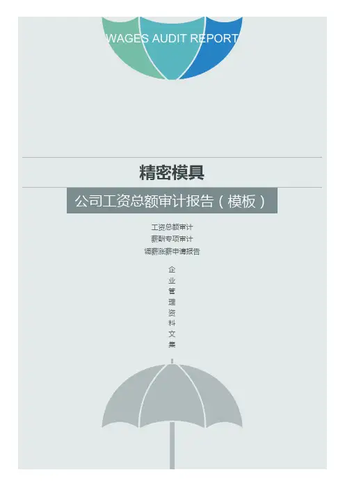 精密模具公司工资总额审计报告(加薪方案)