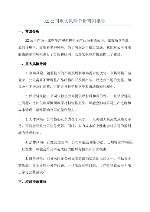 XX公司重大风险分析研判报告