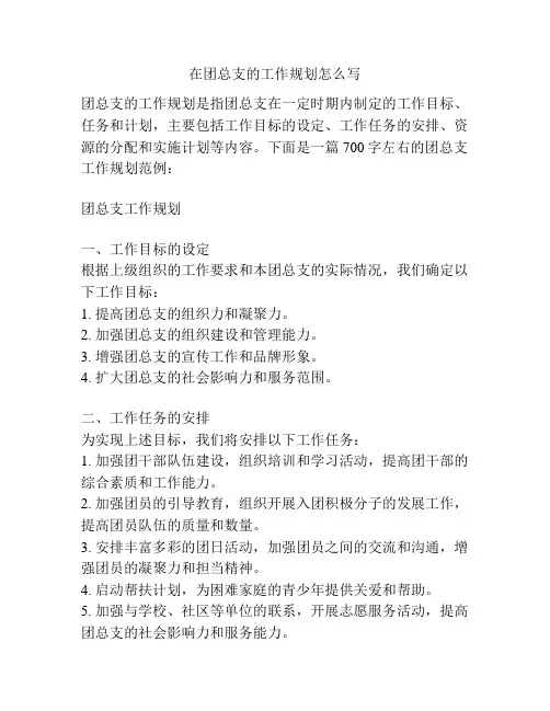 在团总支的工作规划怎么写