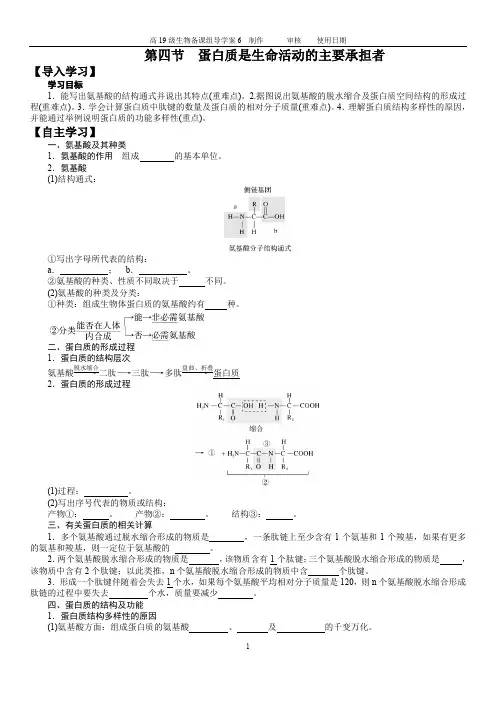 高一生物上学期第2章 第4节 蛋白质是生命活动的主要承担者导学案及答案