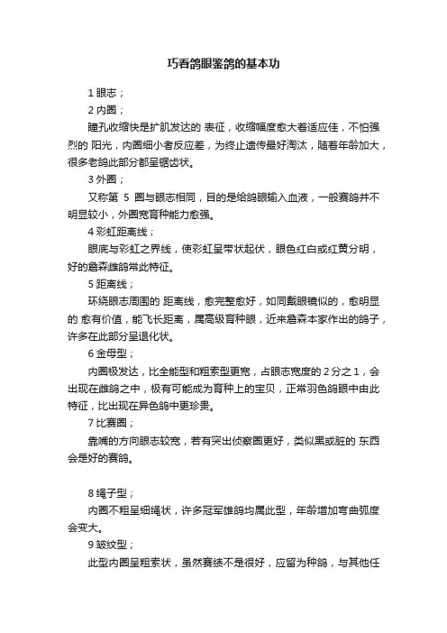 巧看鸽眼鉴鸽的基本功