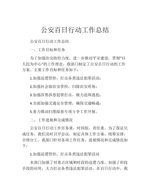 公安百日行动工作总结