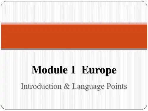 外研版高中英语必修三Module 1 Europe Language points(共29张PPT)