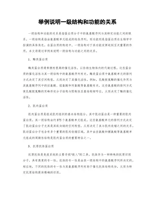 举例说明一级结构和功能的关系